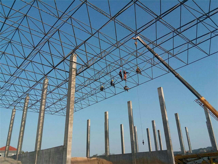 彭州加气站钢结构网架案例10